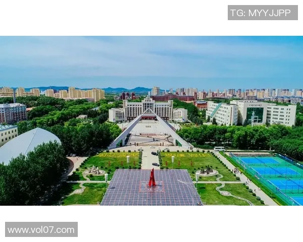 南京乒乓球队在奥运会上的奋斗与荣耀之路全景回顾